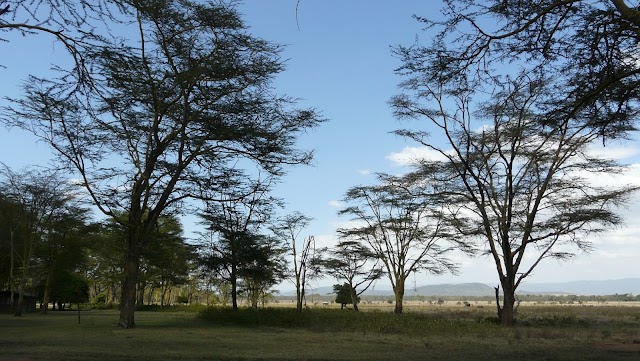 Lake Nakuru National Park