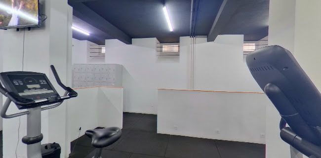 Fox Gym - Academia