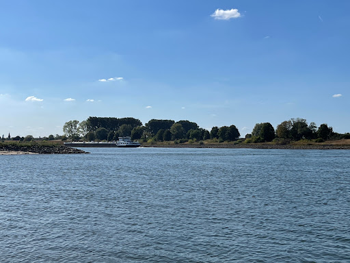 Landschaftspark Rheinbogen