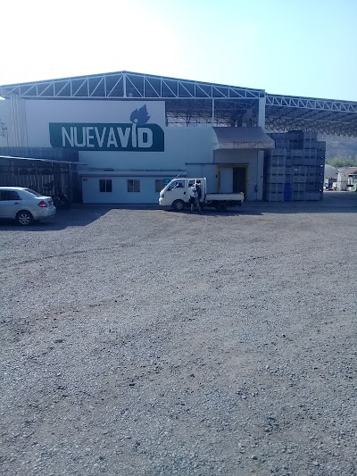 Photos of Viveros Nueva Vid