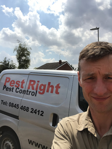 Pest Right - Visual