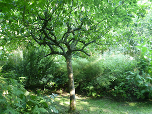 Photo n°6 de Le Pommenial de la Hérissonnière à Saint-Aubin-de-Bonneval (Spa)