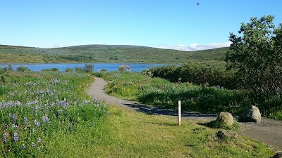 Photos of Lake Vifilsstadavatn