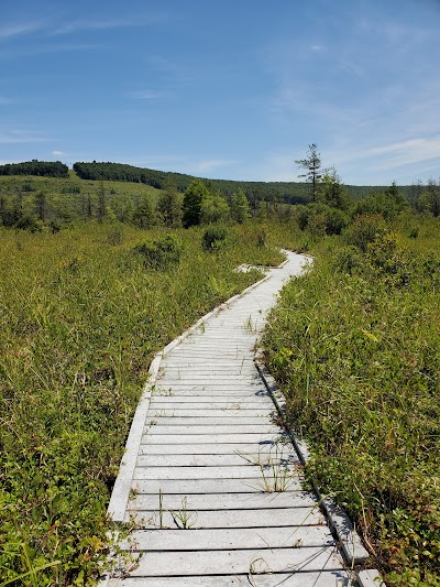 Cranesville Swamp Natural Area