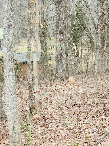 Elkmont Resort, Cleveland GA - Thumbnail