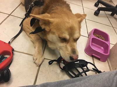 Photos of Oakland Veterinary Referral Services