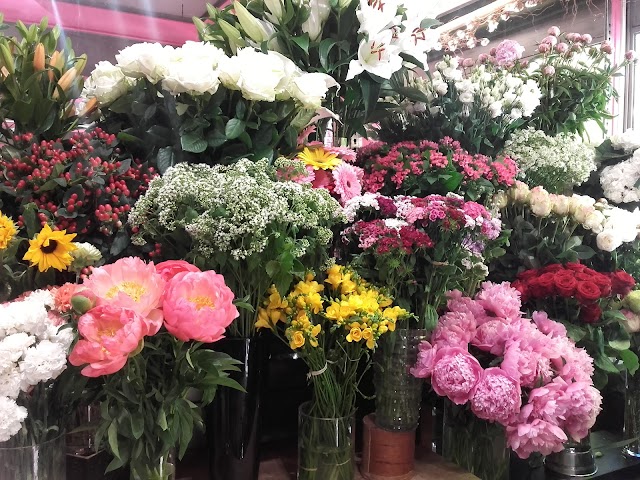 Le Destin d'une Fleur