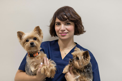 Clinica Veterinaria Kerry Blue