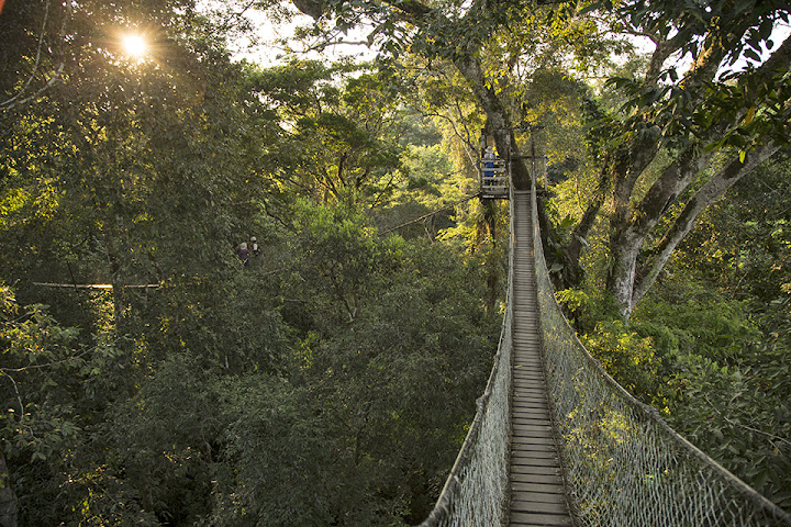 Inkaterra Reserva Amazonica by null