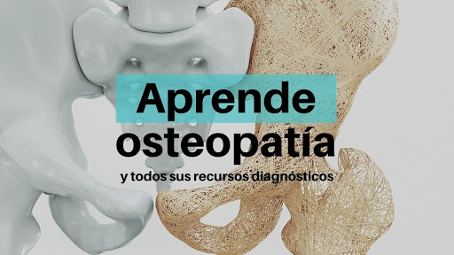 Escuela de Osteopatía de Madrid - EOM Tenerife