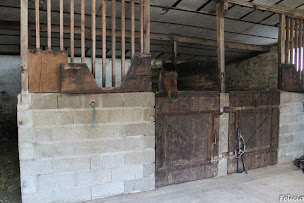 Photo n°8 de La Cavalcade de Saacy à Saâcy-sur-Marne (Siège social)