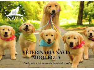 VETERINARIA NAVIA MOQUEGUA 4