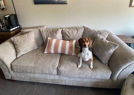 Rex's Upholstery Gallery - United States
