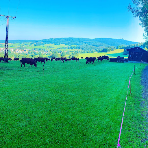 Starterhäuschen WSV Brotterode - Visual