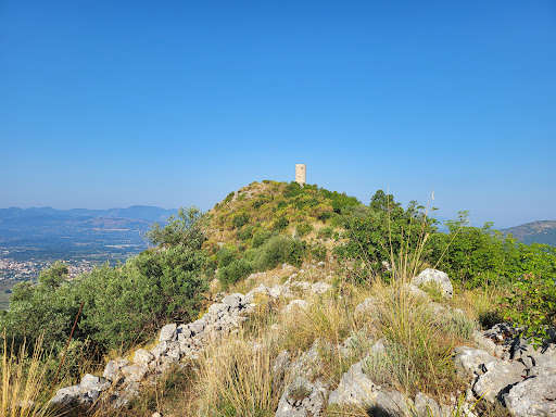 Tower of St. Thomas Aquinas - Thumbnail