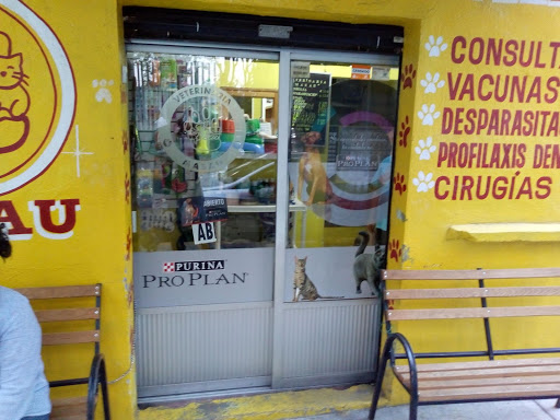 Veterinaria Masau