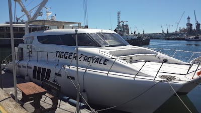 Photos of Tigger 2 Charters