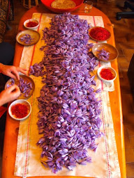 Photo n°8 de La Safranette à Rabastens (Ferme bio)