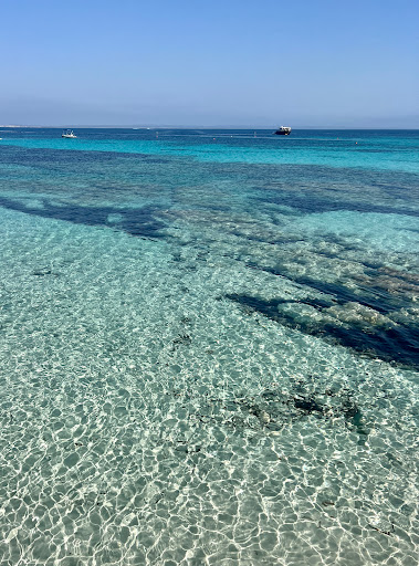 Isola di Mal di Ventre - Escursioni - Noleggio gommoni - SeaNext & Summer Team - Thumbnail
