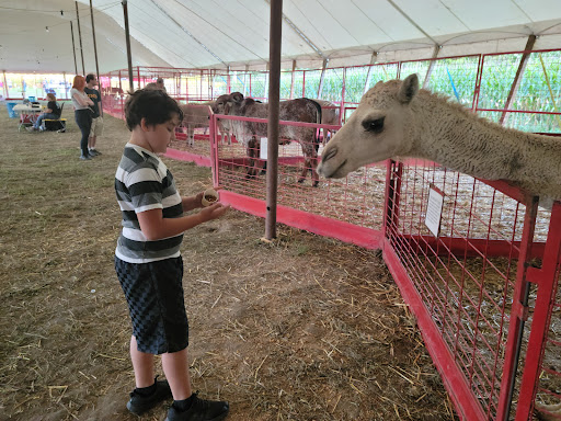 Sever's Corn Maze & Farm Market Gallery - United States