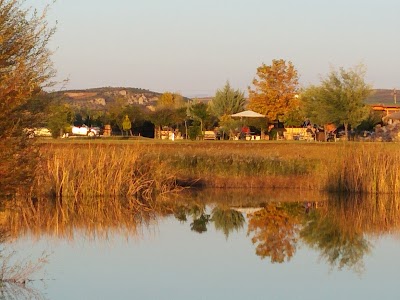 Bar restorant Paja