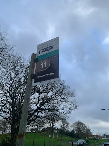 Shaw Road - Visual