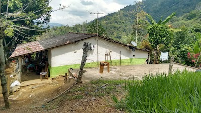 Photos of Finca La Esmeralda