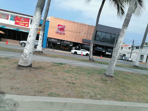 Los Giros Ruiz Cortines