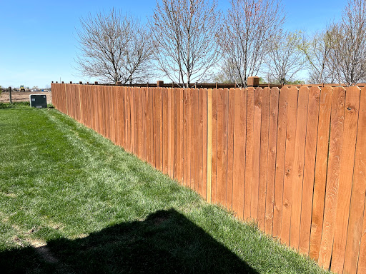 Wolverine Staining - Visual