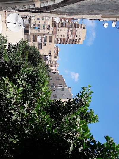 Photos of El Helal El Sekandary Club