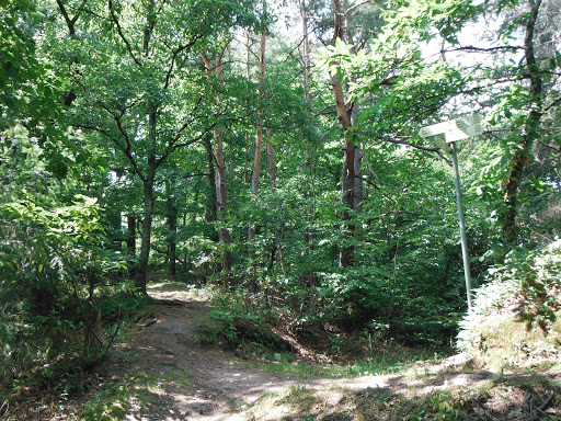 Schilderstandort Galgenberg - Thumbnail