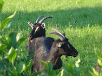 Ferme de Bêcheron à Azé
