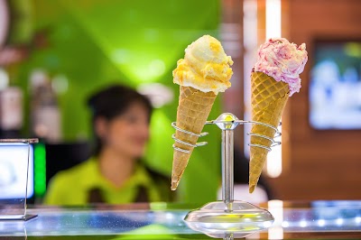 Photos of Dolce Vita Ice Cream Production GmbH