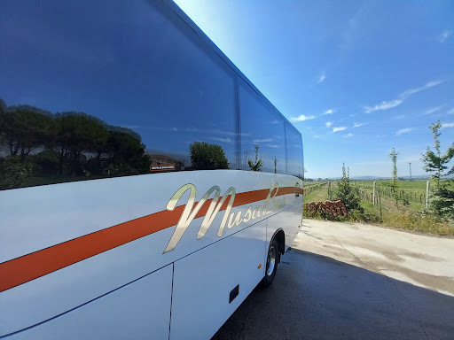 Musa Bus Ncc Taxi Gallery - Italy