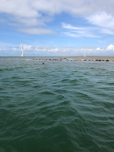 Sælsafari - Visual