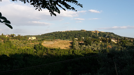S.Cipriano - Visual