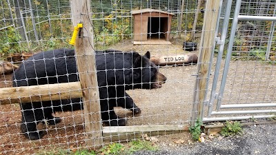 North American Bear Center