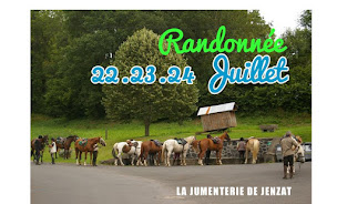 Photo n°31 de Les Ecuries d'Arion à Jenzat (Loisirs)