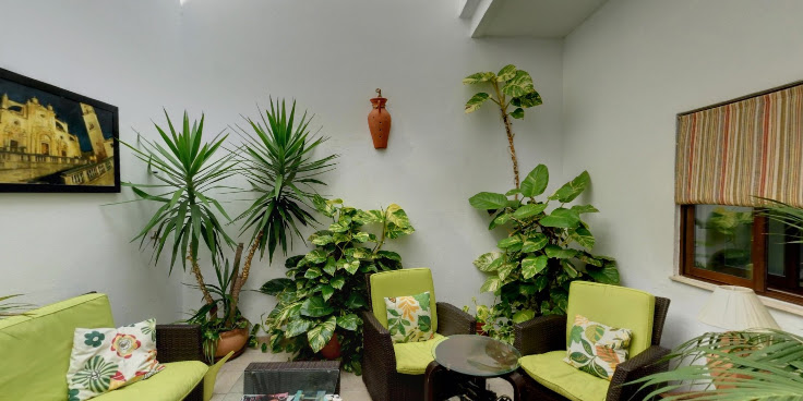 Hostal Fenix by null