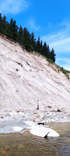 Waipara River Fossils - Thumbnail