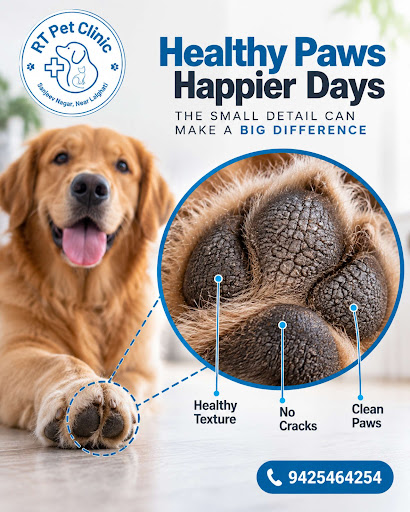 Your furry friend deserves the best! 🐾 Ensure healthy paws for happier days. Call us for expert… post image