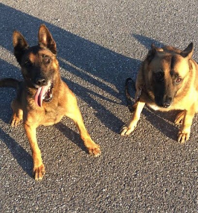 Techni' Chien - Centre Canin