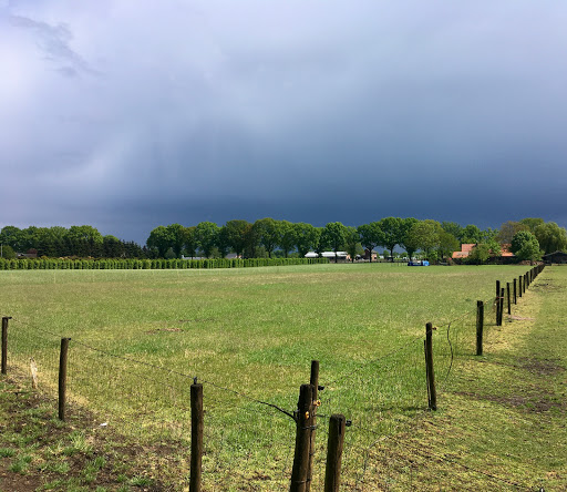 Derikx Boomkwekerijen Bv