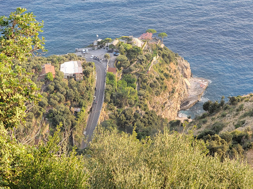 Nocelle - Visual