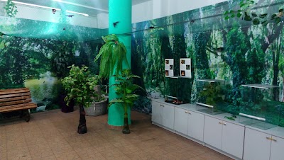 Photos of Планета бабочек