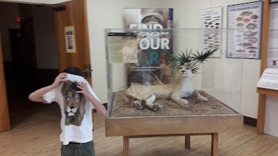 Photos of Big Cypress Oasis Visitor Center