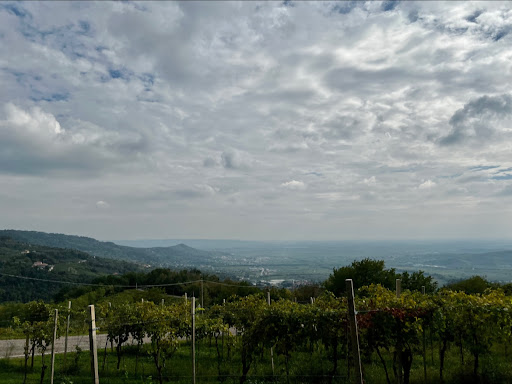 San Giovanni ilarione - Thumbnail