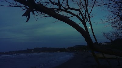 Photos of Manglares