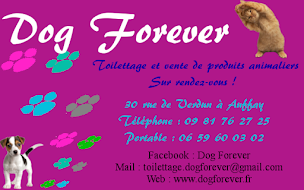 Photo n°10 de Dog Forever à Val-de-Scie (Toiletteur)