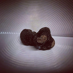 Photo n°49 de A la Chaume de mon Père (Table bistronomique) à Gérardmer (Restaurant gastronomique)